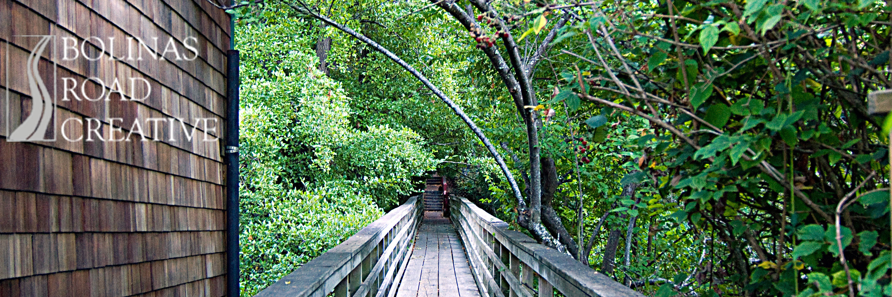 A wooden foot bridges shows a clear path over a strean and through a dense cluster of trees.