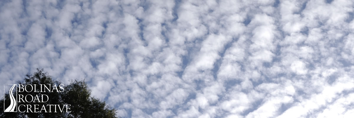 Clouds that look like cotton balls float above a tree.